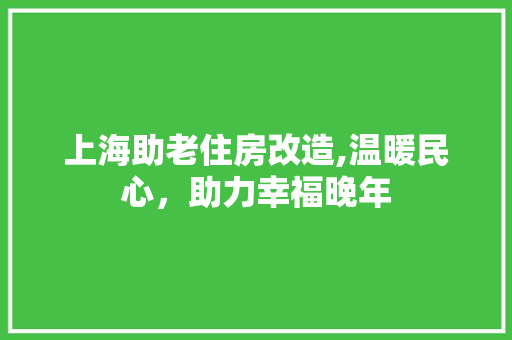 上海助老住房改造,温暖民心，助力幸福晚年
