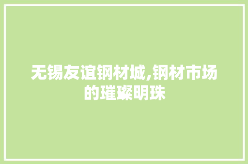 无锡友谊钢材城,钢材市场的璀璨明珠