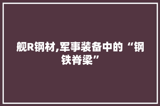 舰R钢材,军事装备中的“钢铁脊梁”