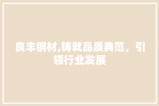 良丰钢材,铸就品质典范，引领行业发展