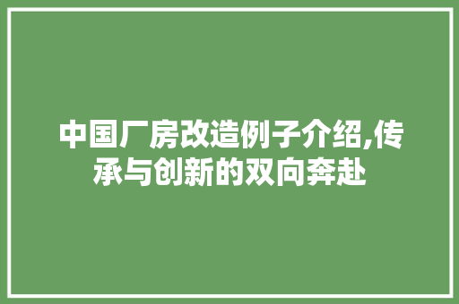 中国厂房改造例子介绍,传承与创新的双向奔赴
