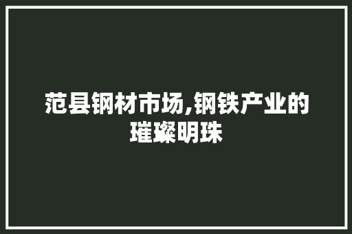 范县钢材市场,钢铁产业的璀璨明珠
