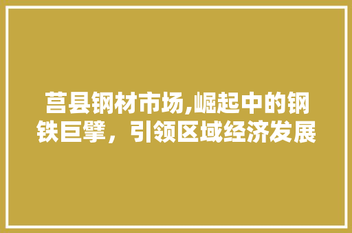 莒县钢材市场,崛起中的钢铁巨擘，引领区域经济发展