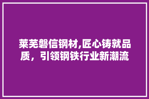 莱芜磐信钢材,匠心铸就品质，引领钢铁行业新潮流