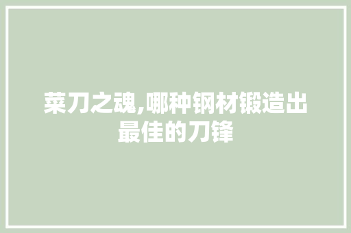 菜刀之魂,哪种钢材锻造出最佳的刀锋