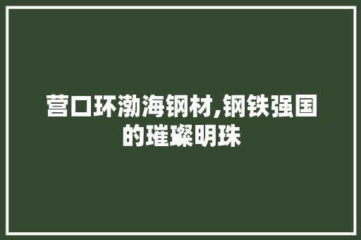 营口环渤海钢材,钢铁强国的璀璨明珠