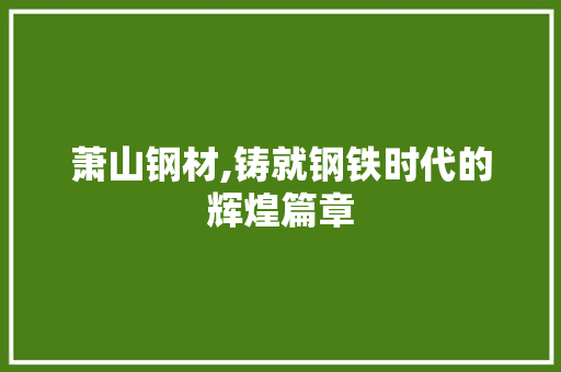萧山钢材,铸就钢铁时代的辉煌篇章
