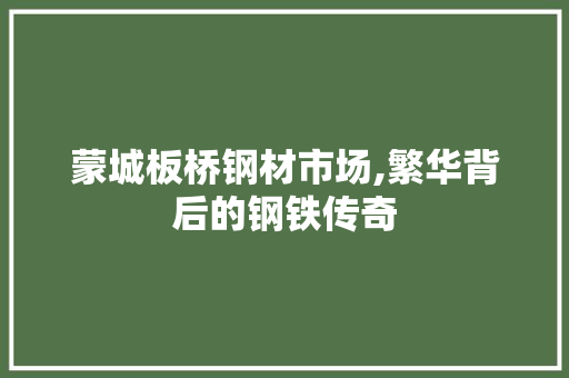 蒙城板桥钢材市场,繁华背后的钢铁传奇