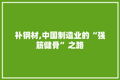 补钢材,中国制造业的“强筋健骨”之路