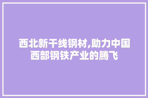 西北新干线钢材,助力中国西部钢铁产业的腾飞