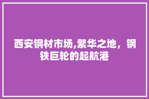 西安钢材市场,繁华之地，钢铁巨轮的起航港