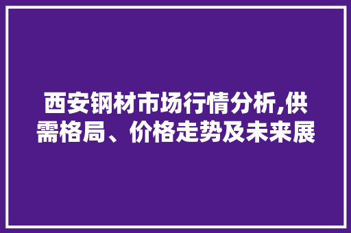 西安钢材市场行情分析,供需格局、价格走势及未来展望