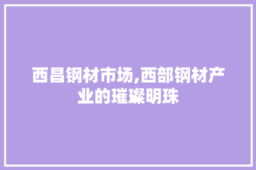 西昌钢材市场,西部钢材产业的璀璨明珠
