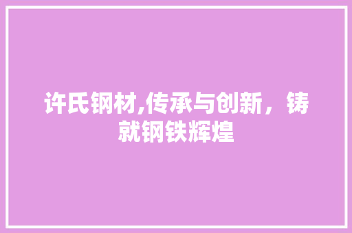 许氏钢材,传承与创新，铸就钢铁辉煌