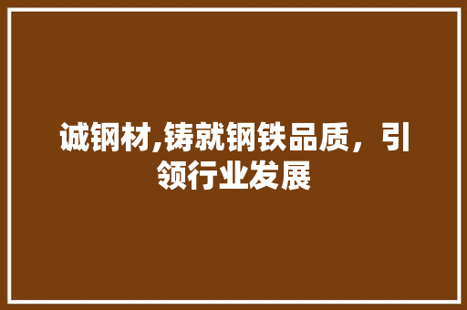诚钢材,铸就钢铁品质，引领行业发展