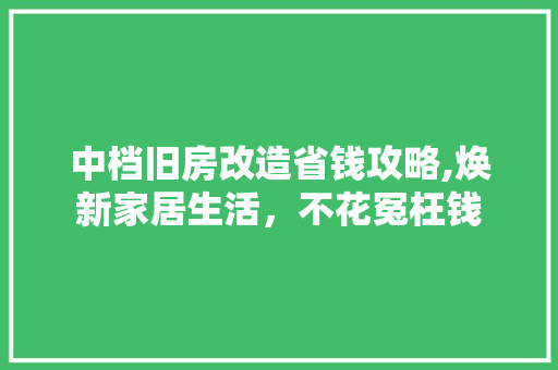 中档旧房改造省钱攻略,焕新家居生活，不花冤枉钱