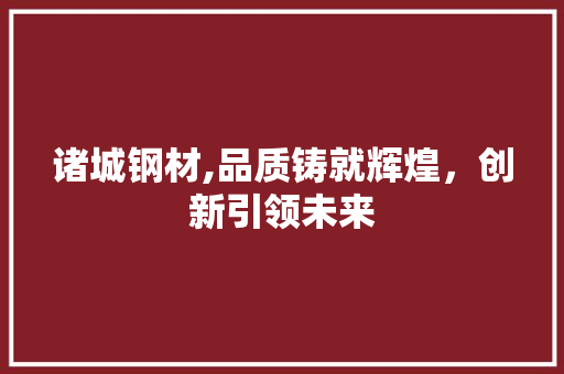 诸城钢材,品质铸就辉煌，创新引领未来