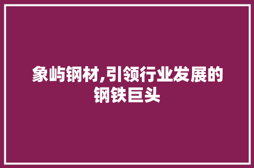 象屿钢材,引领行业发展的钢铁巨头