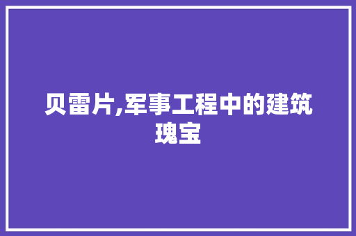 贝雷片,军事工程中的建筑瑰宝