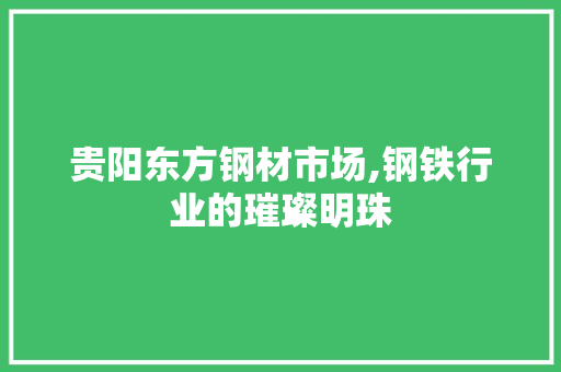 贵阳东方钢材市场,钢铁行业的璀璨明珠