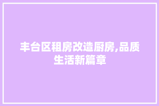 丰台区租房改造厨房,品质生活新篇章