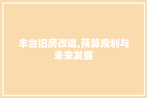 丰台旧房改造,预算规划与未来发展
