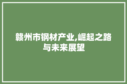 赣州市钢材产业,崛起之路与未来展望