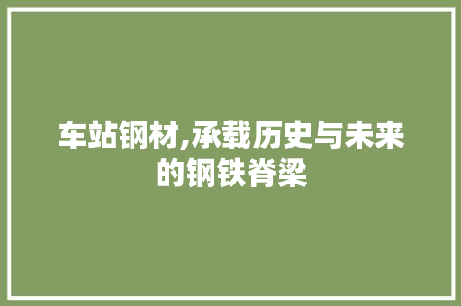 车站钢材,承载历史与未来的钢铁脊梁