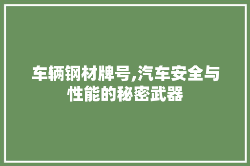 车辆钢材牌号,汽车安全与性能的秘密武器