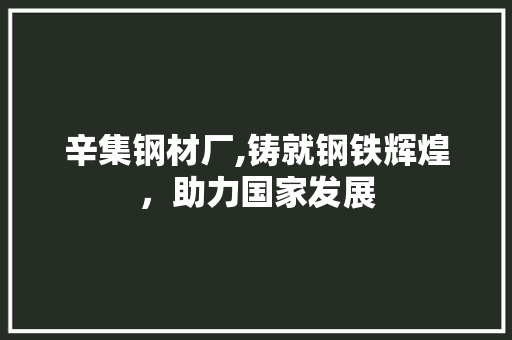 辛集钢材厂,铸就钢铁辉煌，助力国家发展