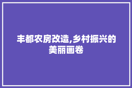 丰都农房改造,乡村振兴的美丽画卷
