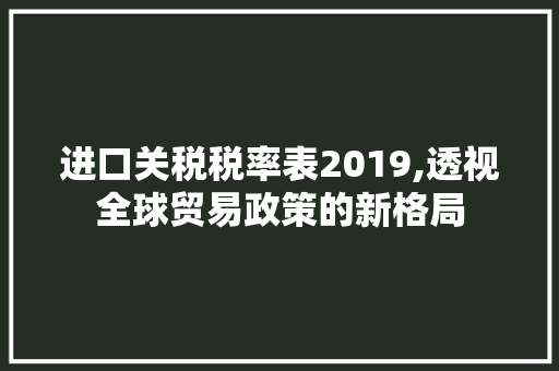 进口关税税率表2019,透视全球贸易政策的新格局
