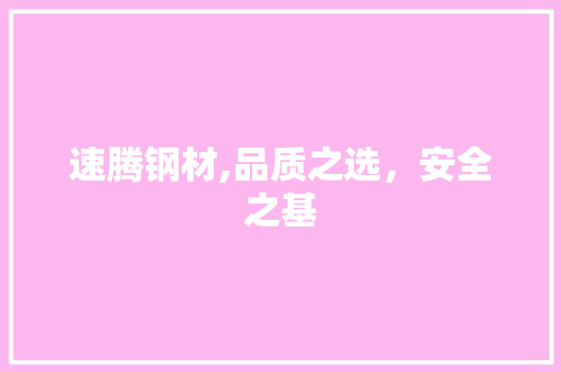 速腾钢材,品质之选，安全之基