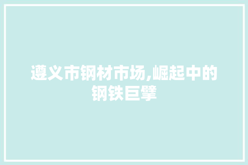 遵义市钢材市场,崛起中的钢铁巨擘