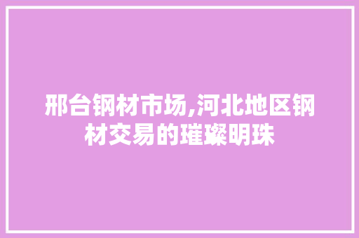 邢台钢材市场,河北地区钢材交易的璀璨明珠