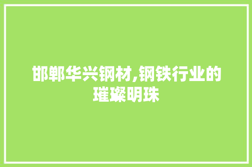 邯郸华兴钢材,钢铁行业的璀璨明珠