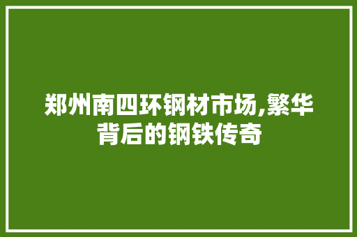 郑州南四环钢材市场,繁华背后的钢铁传奇