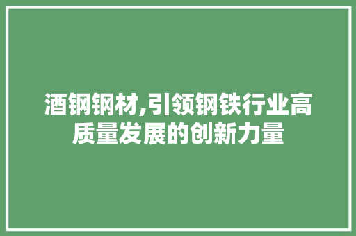酒钢钢材,引领钢铁行业高质量发展的创新力量