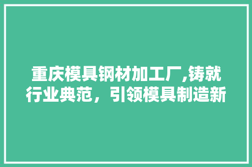重庆模具钢材加工厂,铸就行业典范，引领模具制造新潮流