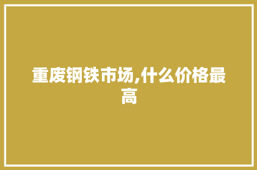 重废钢铁市场,什么价格最高