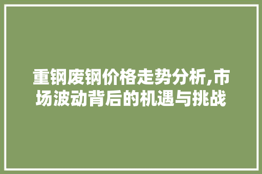 重钢废钢价格走势分析,市场波动背后的机遇与挑战