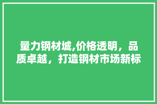 量力钢材城,价格透明，品质卓越，打造钢材市场新标杆