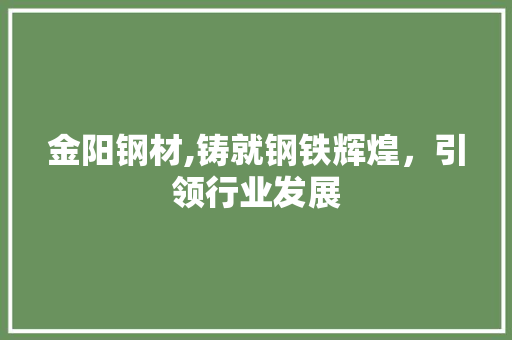 金阳钢材,铸就钢铁辉煌，引领行业发展