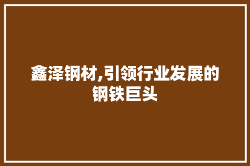 鑫泽钢材,引领行业发展的钢铁巨头
