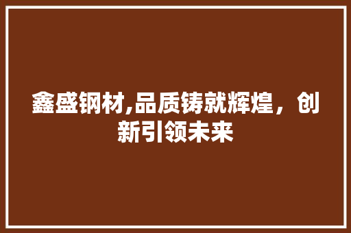 鑫盛钢材,品质铸就辉煌，创新引领未来