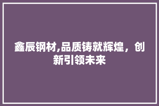 鑫辰钢材,品质铸就辉煌，创新引领未来