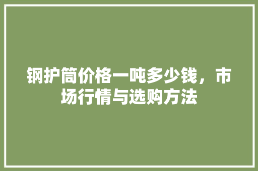 钢护筒价格一吨多少钱，市场行情与选购方法