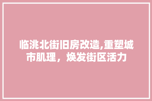 临洮北街旧房改造,重塑城市肌理，焕发街区活力