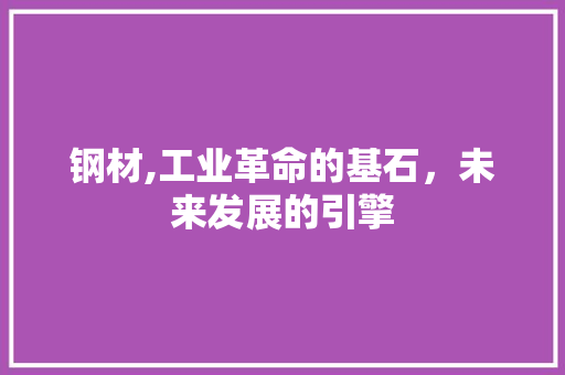 钢材,工业革命的基石，未来发展的引擎