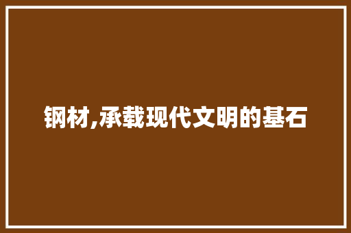 钢材,承载现代文明的基石